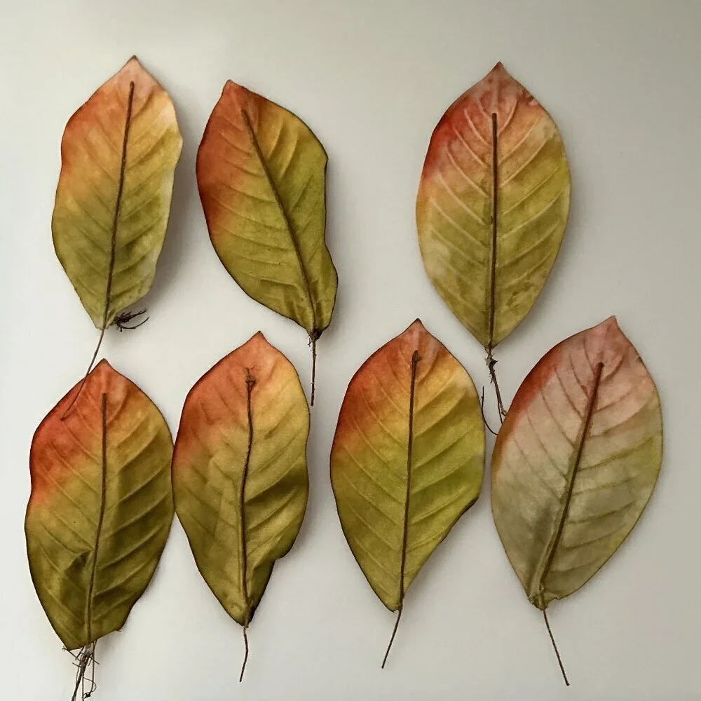 MAGNOLIA BIG LEAVES  DIY BUNDLE CRAFTS HOME DECOR 30 LEAVES 4 BRANCHES